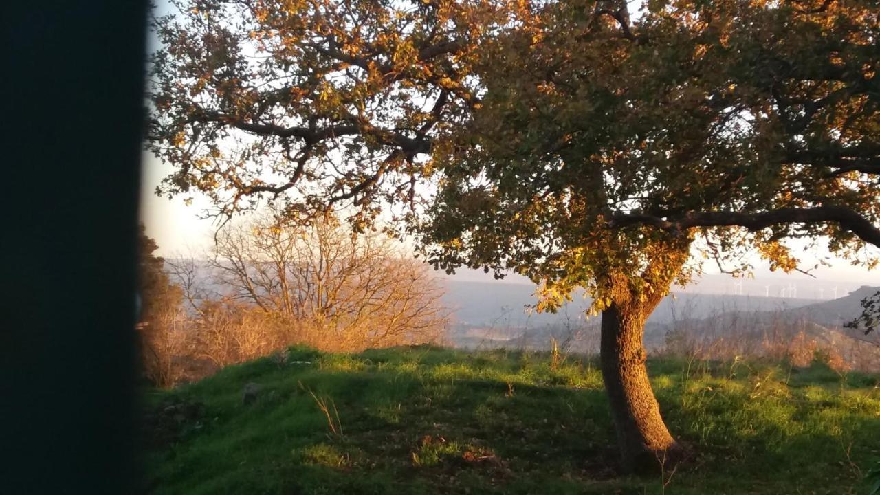 Su Montiju De Sa Falada Manna Cheremule Zewnętrze zdjęcie