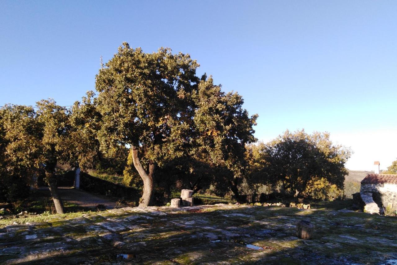 Su Montiju De Sa Falada Manna Cheremule Zewnętrze zdjęcie